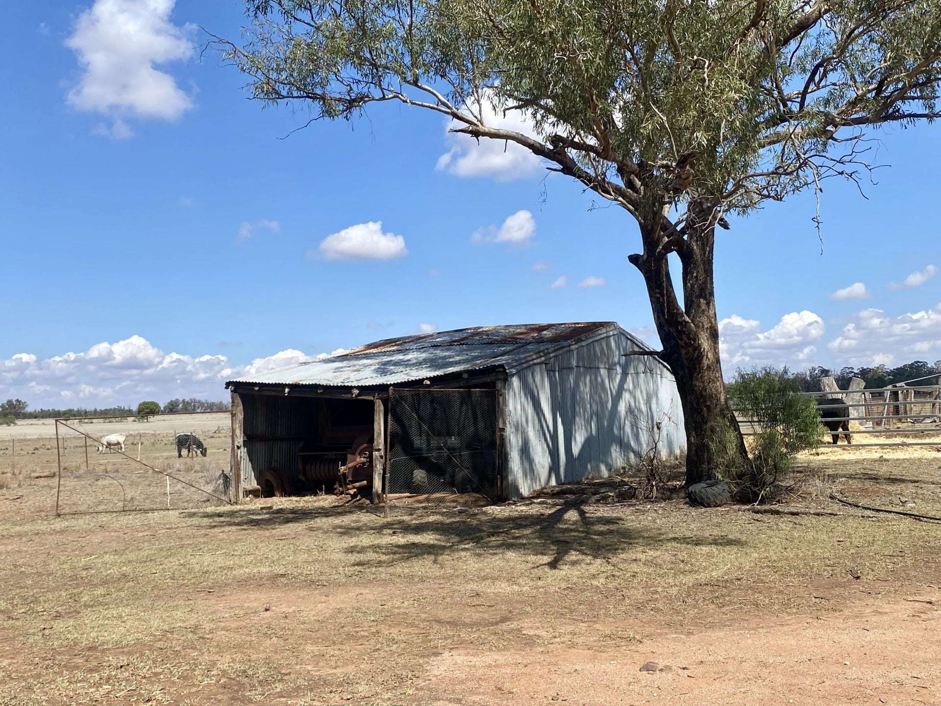 Gilgandra For Sale by Farmbuy.com - image 13