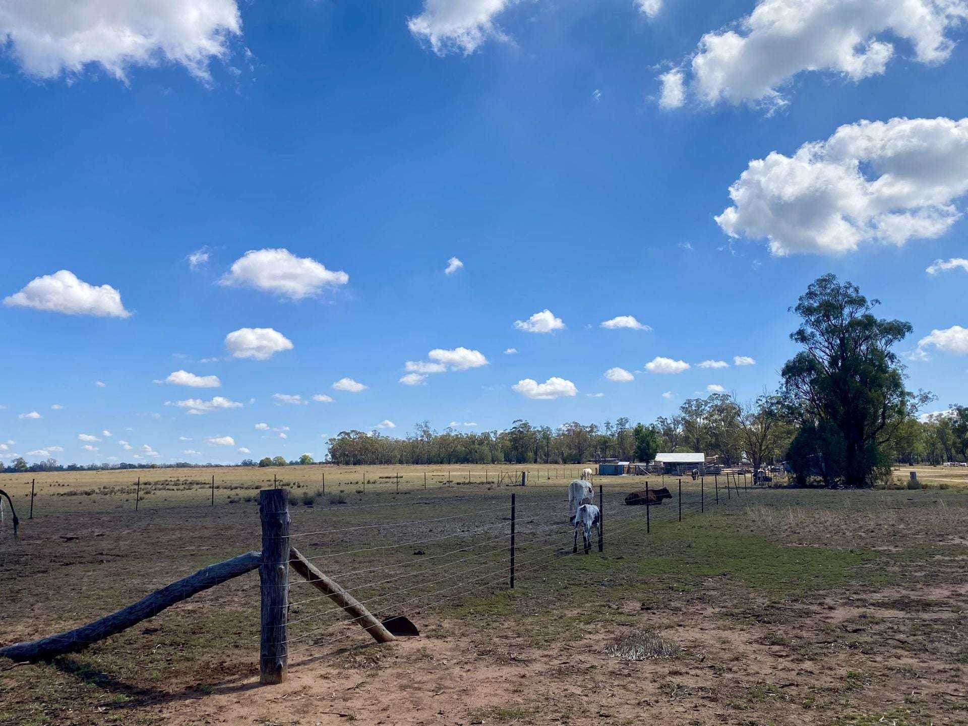 Gilgandra For Sale by Farmbuy.com - image 14