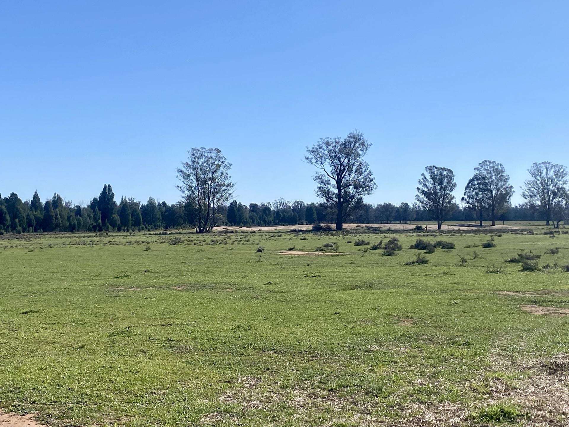 Gilgandra For Sale by Farmbuy.com - image 26