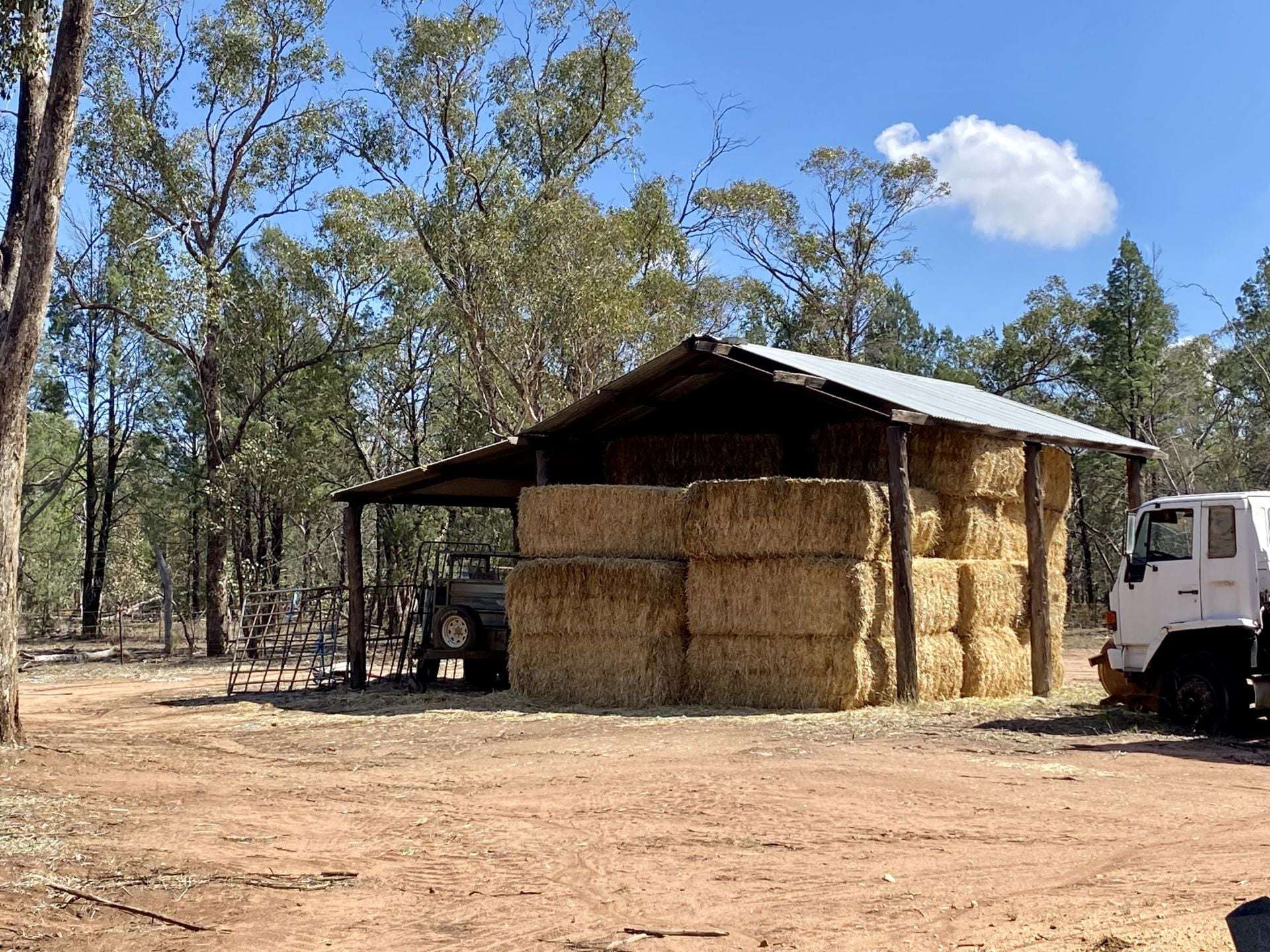Gilgandra For Sale by Farmbuy.com - image 4