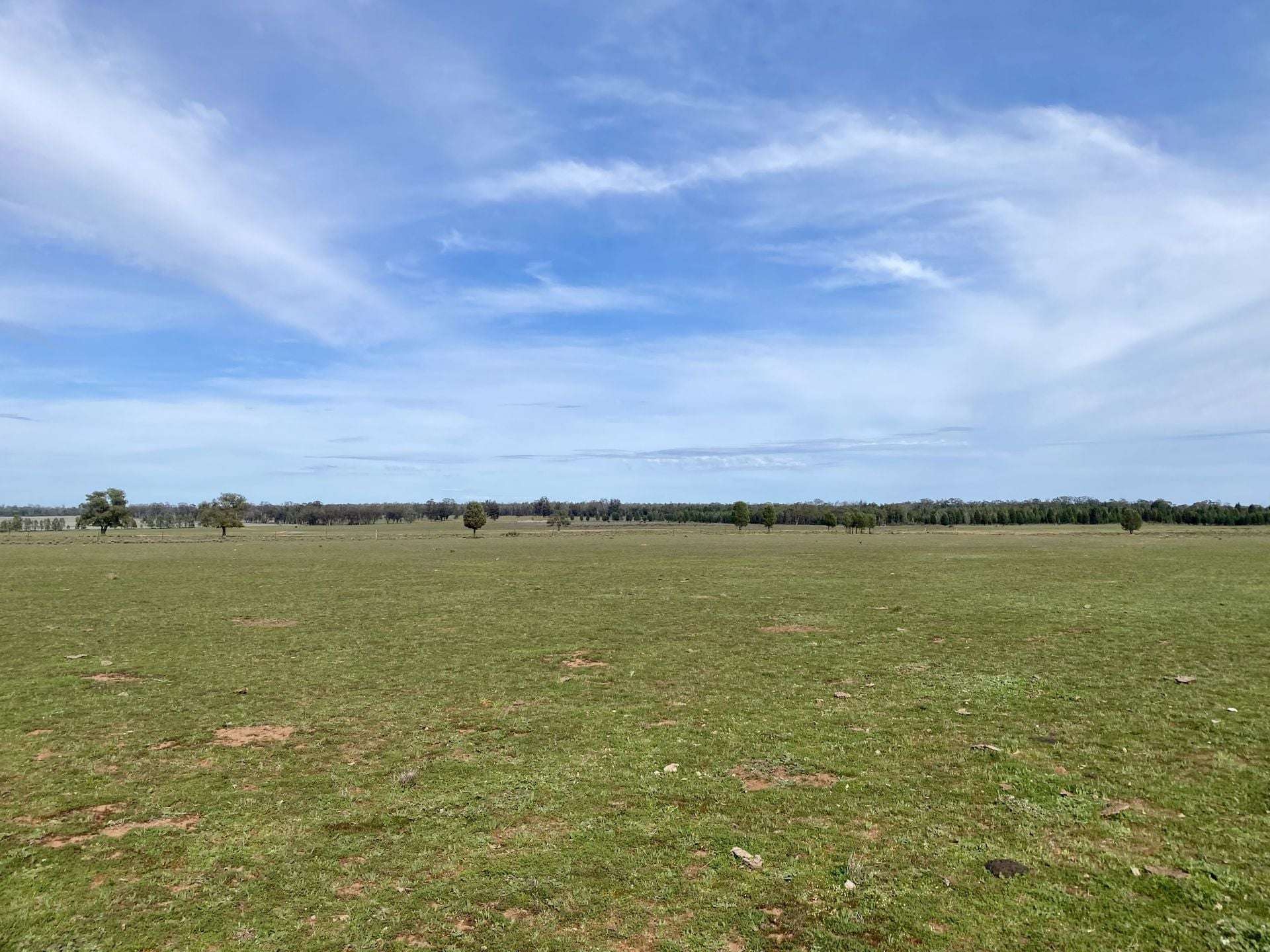 Gilgandra For Sale by Farmbuy.com - image 27