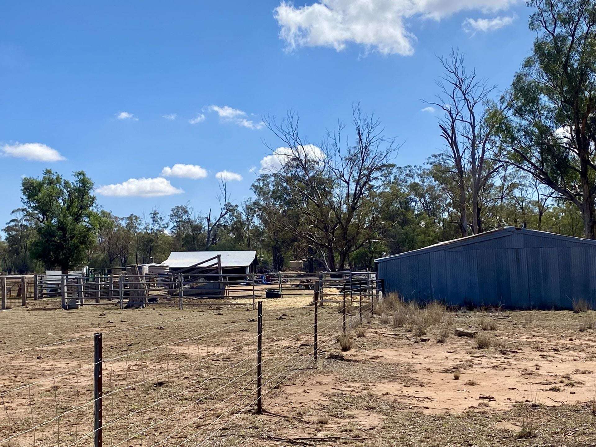 Gilgandra For Sale by Farmbuy.com - image 16