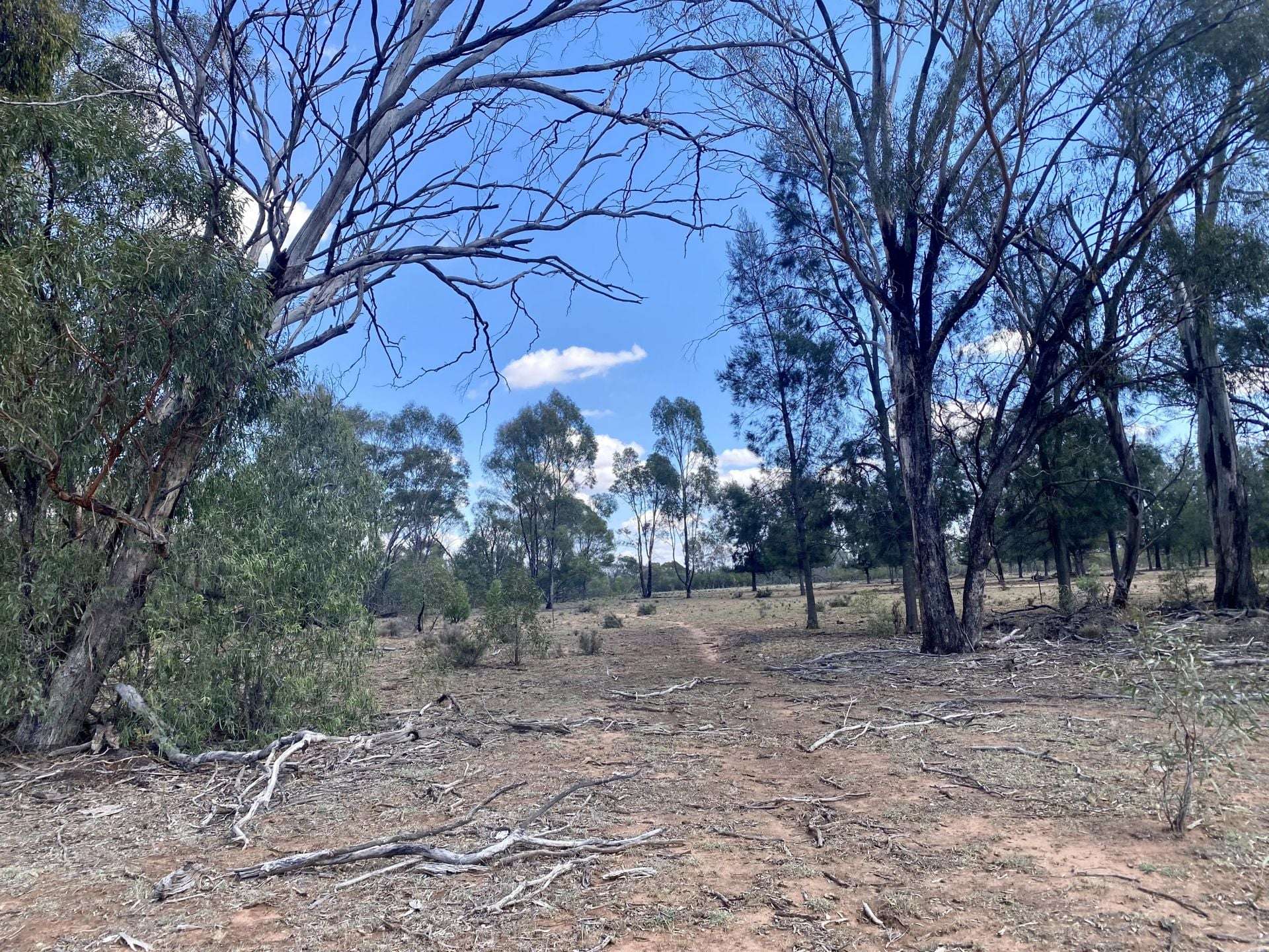 Gilgandra For Sale by Farmbuy.com - image 25