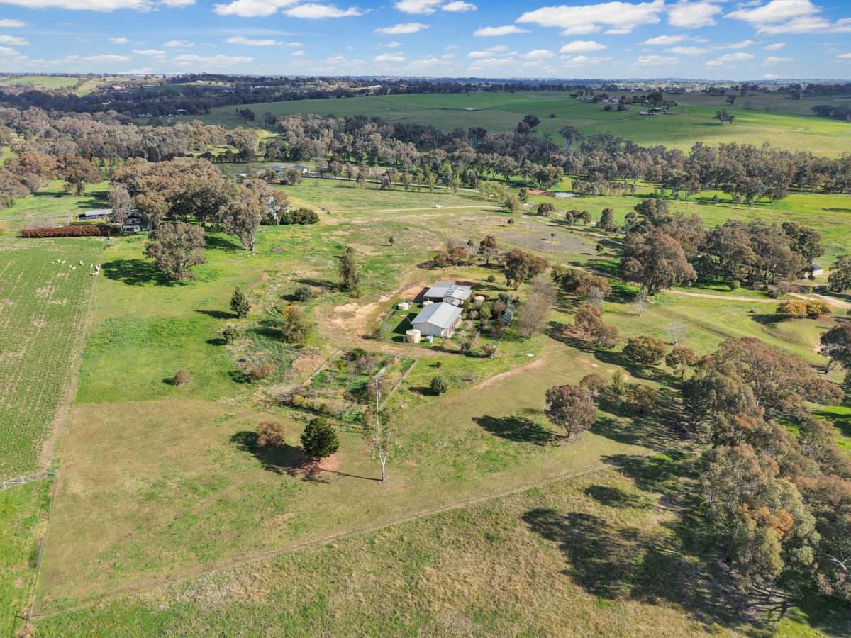 202 Pattersons Lane, Young For Sale by Farmbuy.com - image 4