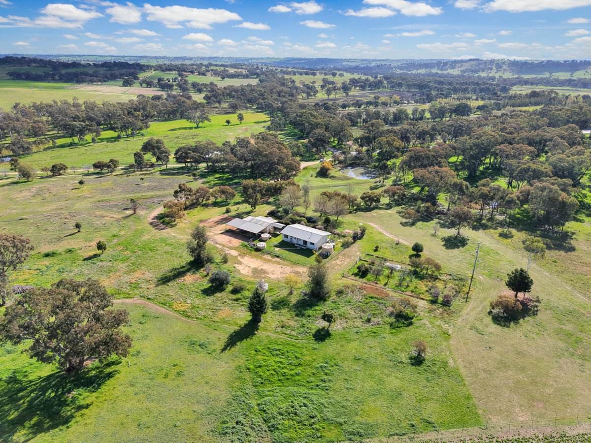 202 Pattersons Lane, Young For Sale by Farmbuy.com - image 7