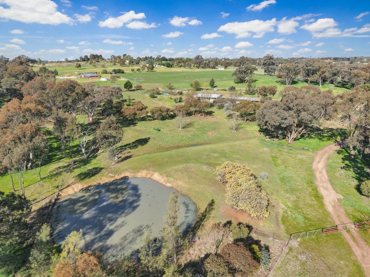 202 Pattersons Lane, Young For Sale by Farmbuy.com - image 3