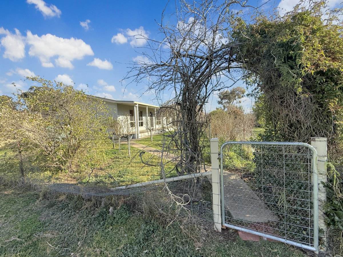 202 Pattersons Lane, Young For Sale by Farmbuy.com - image 22