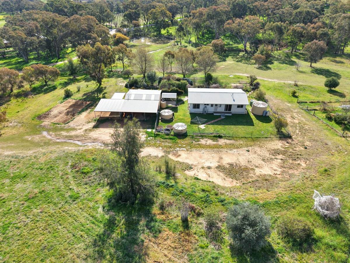 202 Pattersons Lane, Young For Sale by Farmbuy.com - image 9