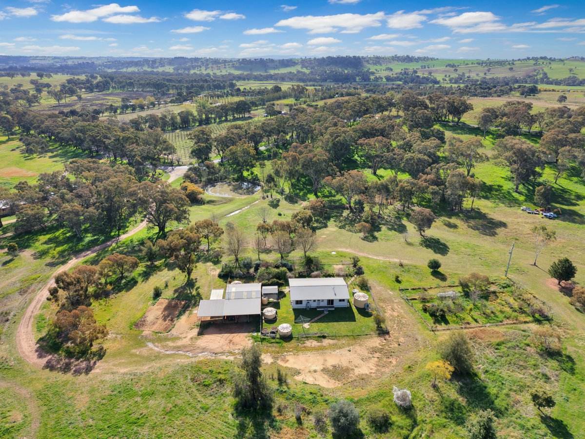 202 Pattersons Lane, Young For Sale by Farmbuy.com - image 5