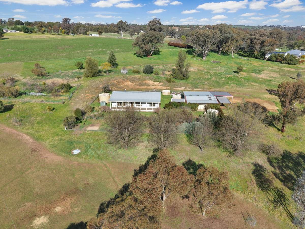 202 Pattersons Lane, Young For Sale by Farmbuy.com - image 6