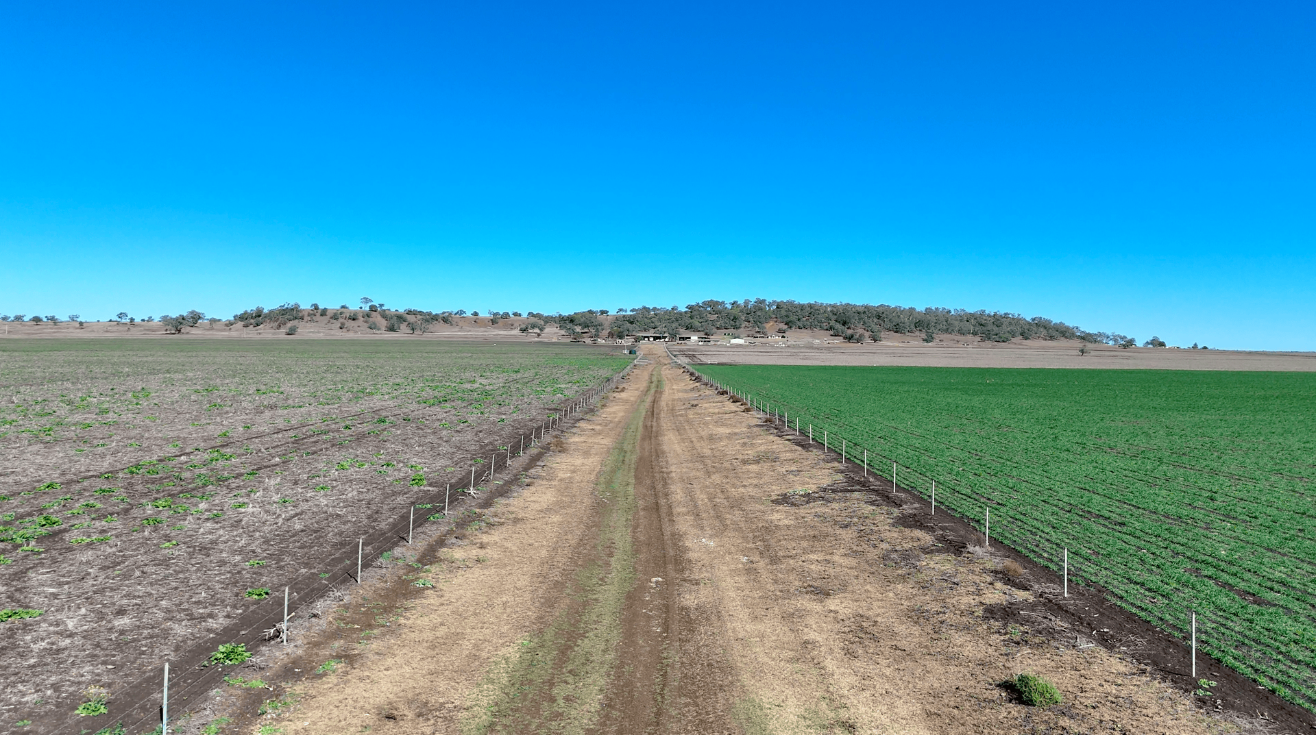 "Mountain Glen" Oakey Pittsworth Road, Oakey For Sale by Farmbuy.com - image 30