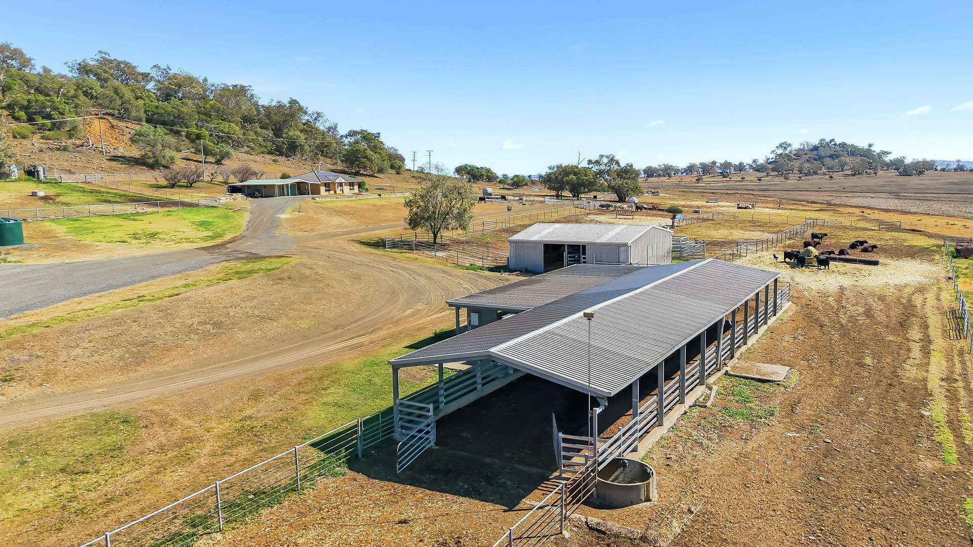 "Mountain Glen" Oakey Pittsworth Road, Oakey For Sale by Farmbuy.com - image 17