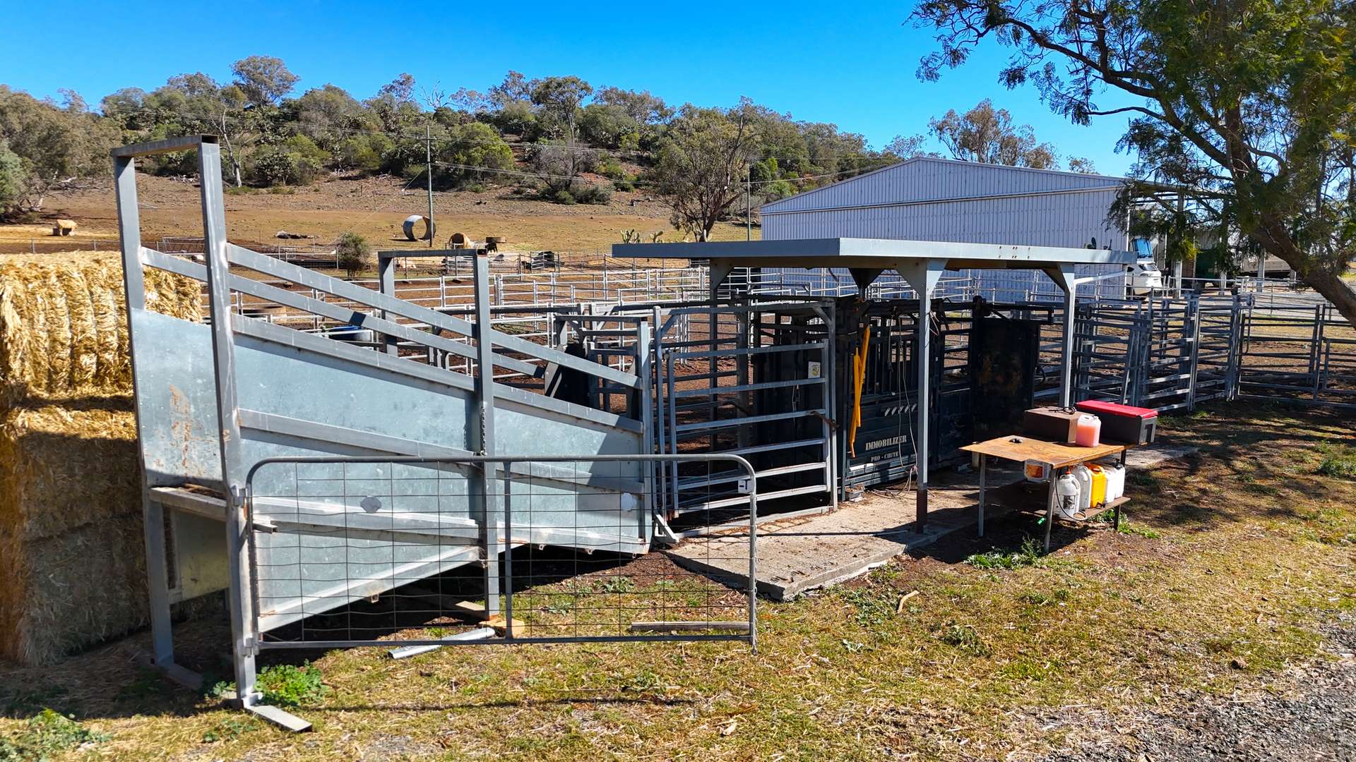 "Mountain Glen" Oakey Pittsworth Road, Oakey For Sale by Farmbuy.com - image 19