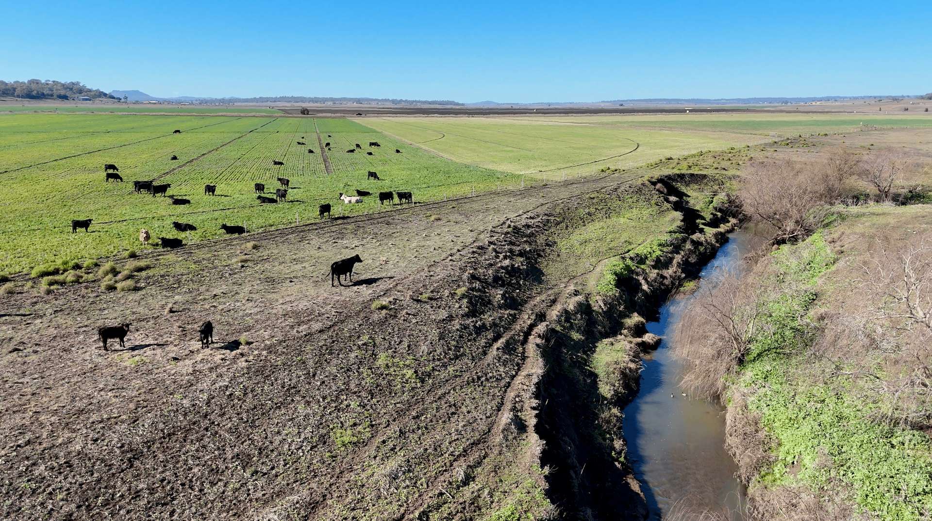 "Mountain Glen" Oakey Pittsworth Road, Oakey For Sale by Farmbuy.com - image 13