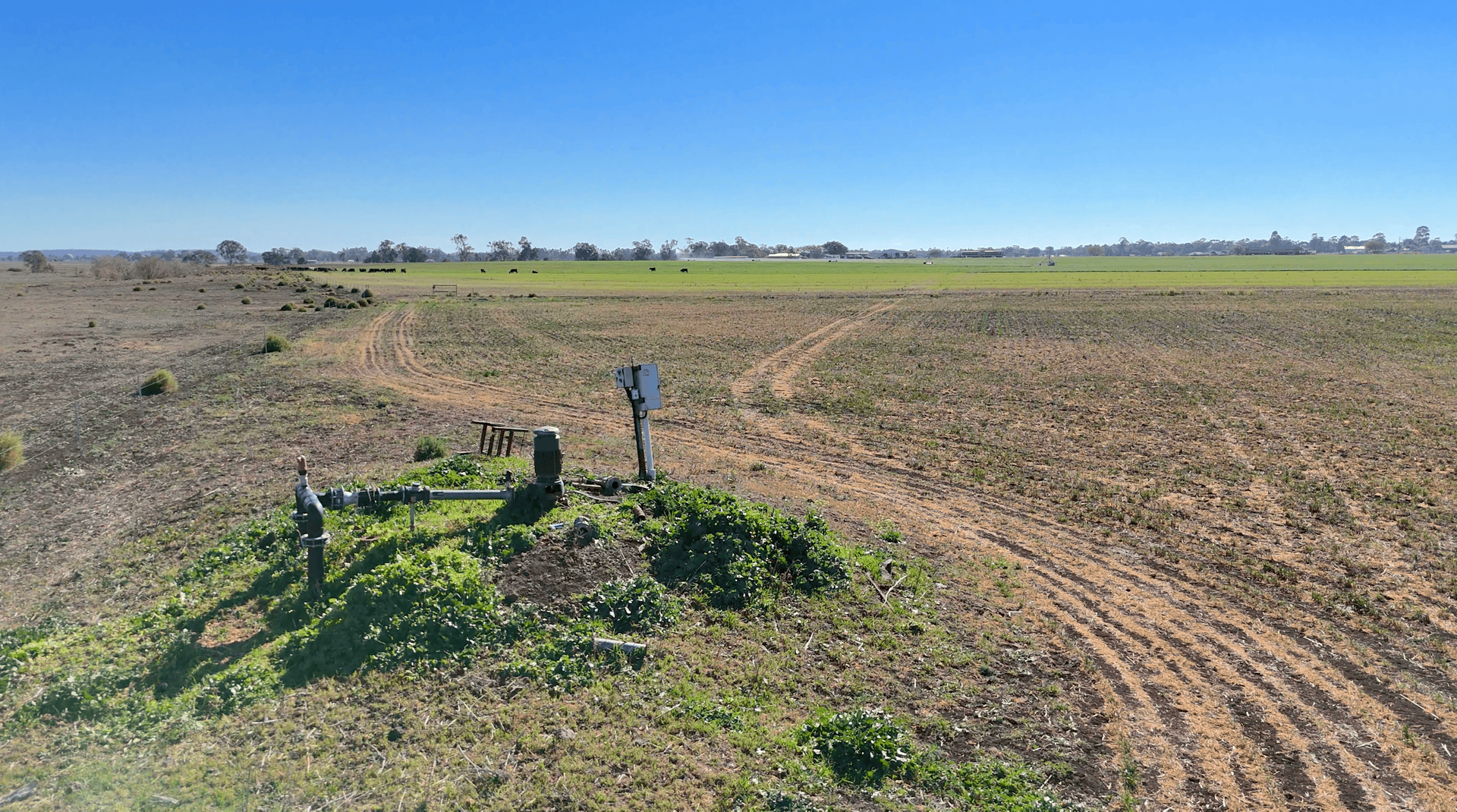 "Mountain Glen" Oakey Pittsworth Road, Oakey For Sale by Farmbuy.com - image 10