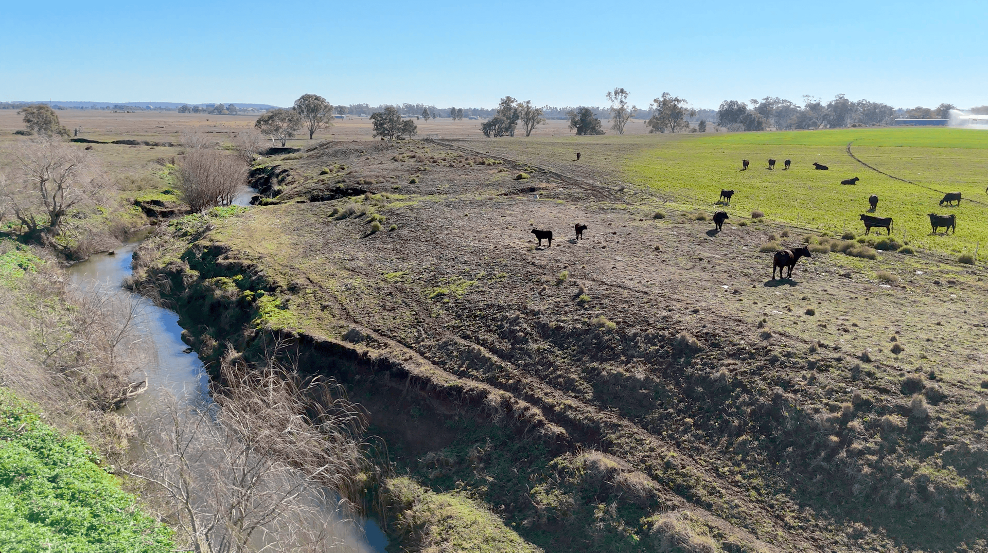 "Mountain Glen" Oakey Pittsworth Road, Oakey For Sale by Farmbuy.com - image 12