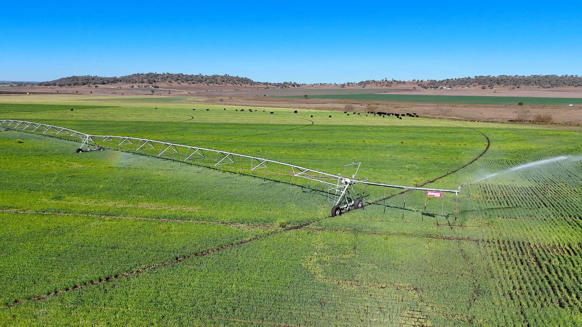 "Mountain Glen" Oakey Pittsworth Road, Oakey For Sale by Farmbuy.com - image 3