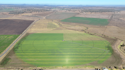 Farm For Sale - QLD - Oakey - 4401 - "Mountain Glen" - Prime Country, Proven Performance 