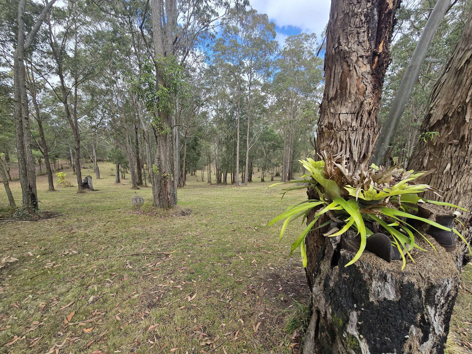 362 Anduramba Road, Crows Nest For Sale by Farmbuy.com - image 16