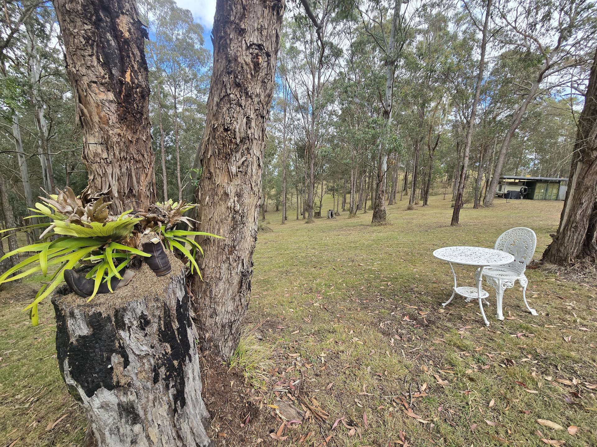 362 Anduramba Road, Crows Nest For Sale by Farmbuy.com - image 14