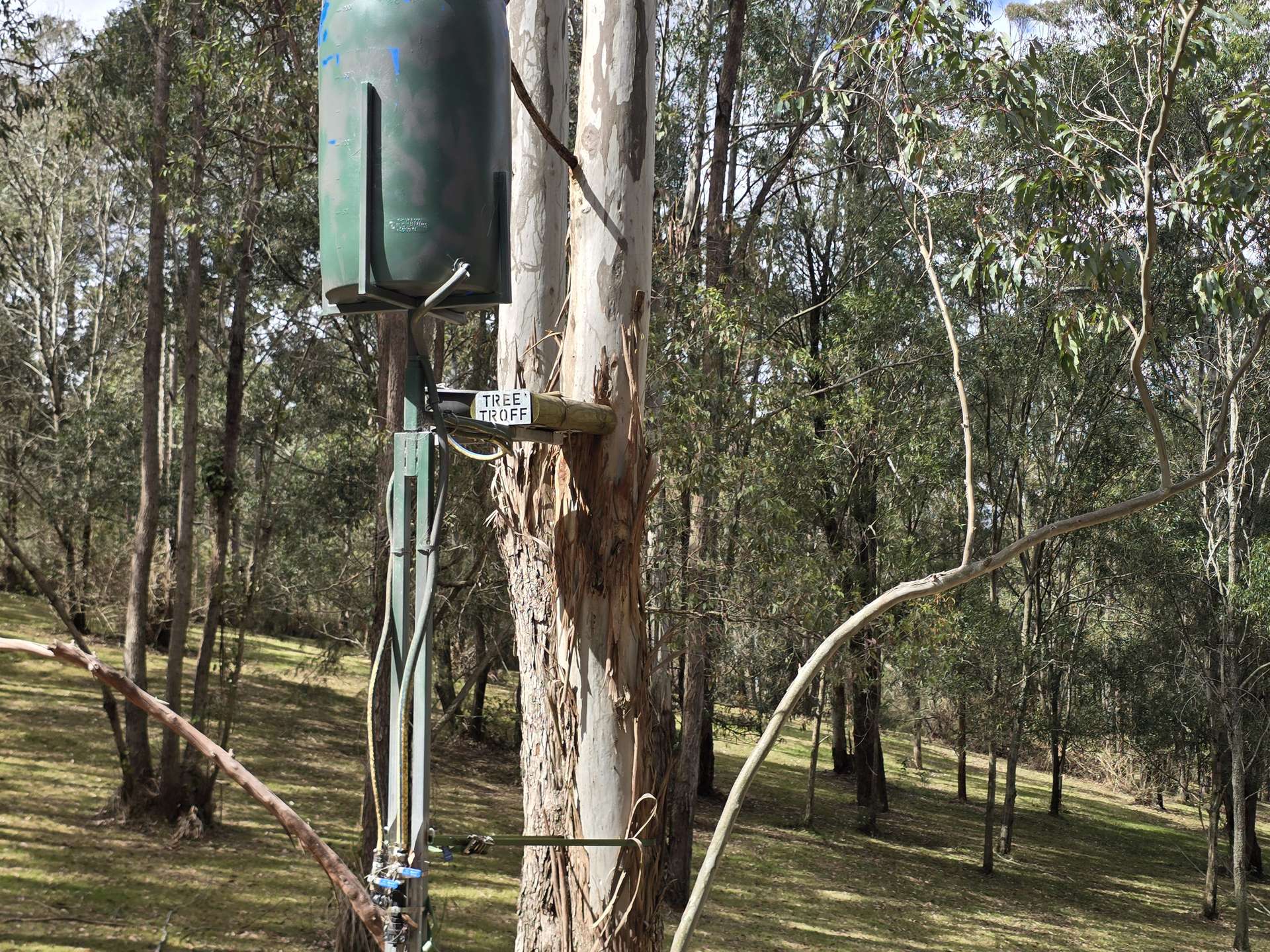 362 Anduramba Road, Crows Nest For Sale by Farmbuy.com - image 9