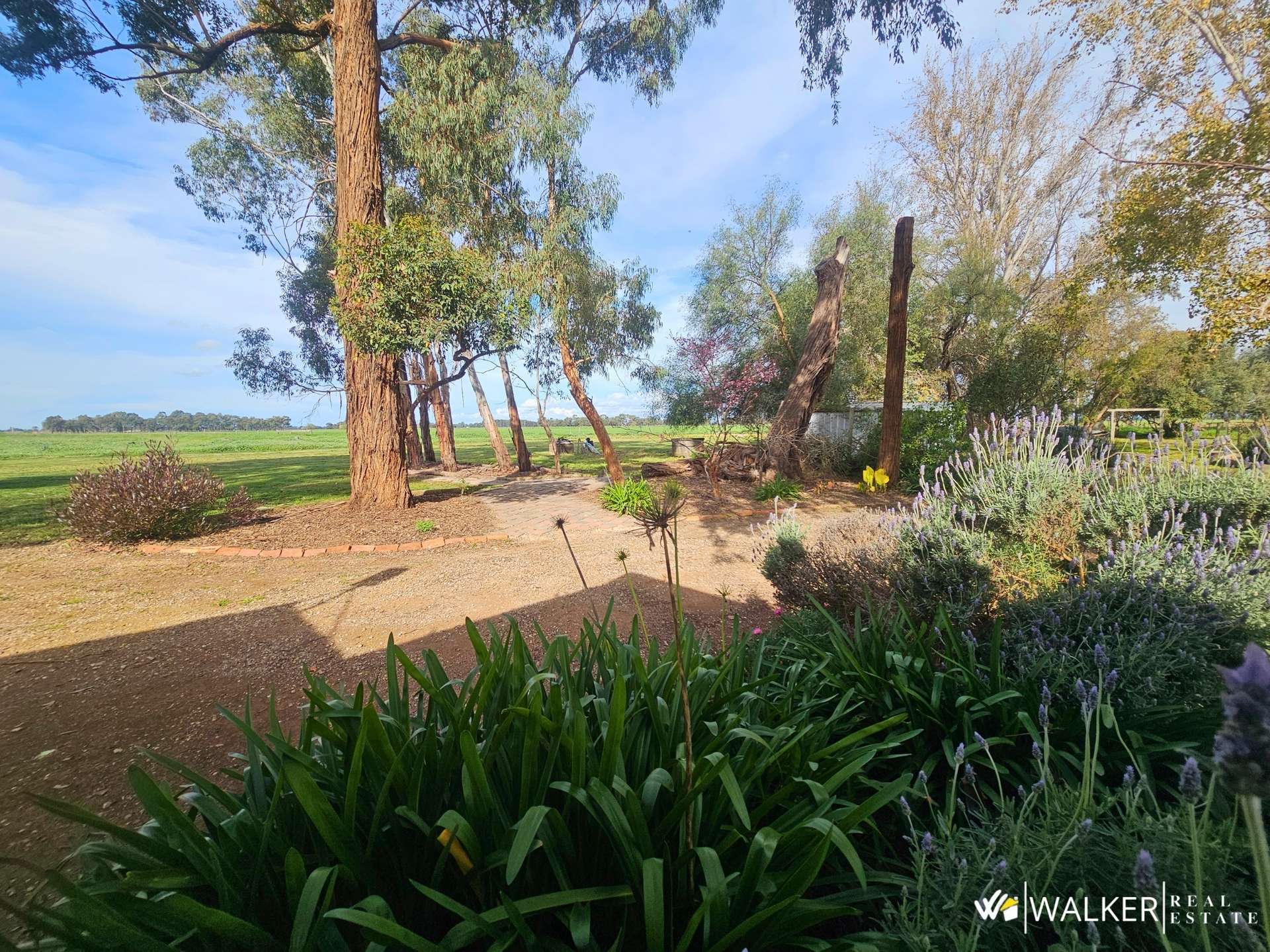 3297 Graham Road, Nanneella For Sale by Farmbuy.com - image 27