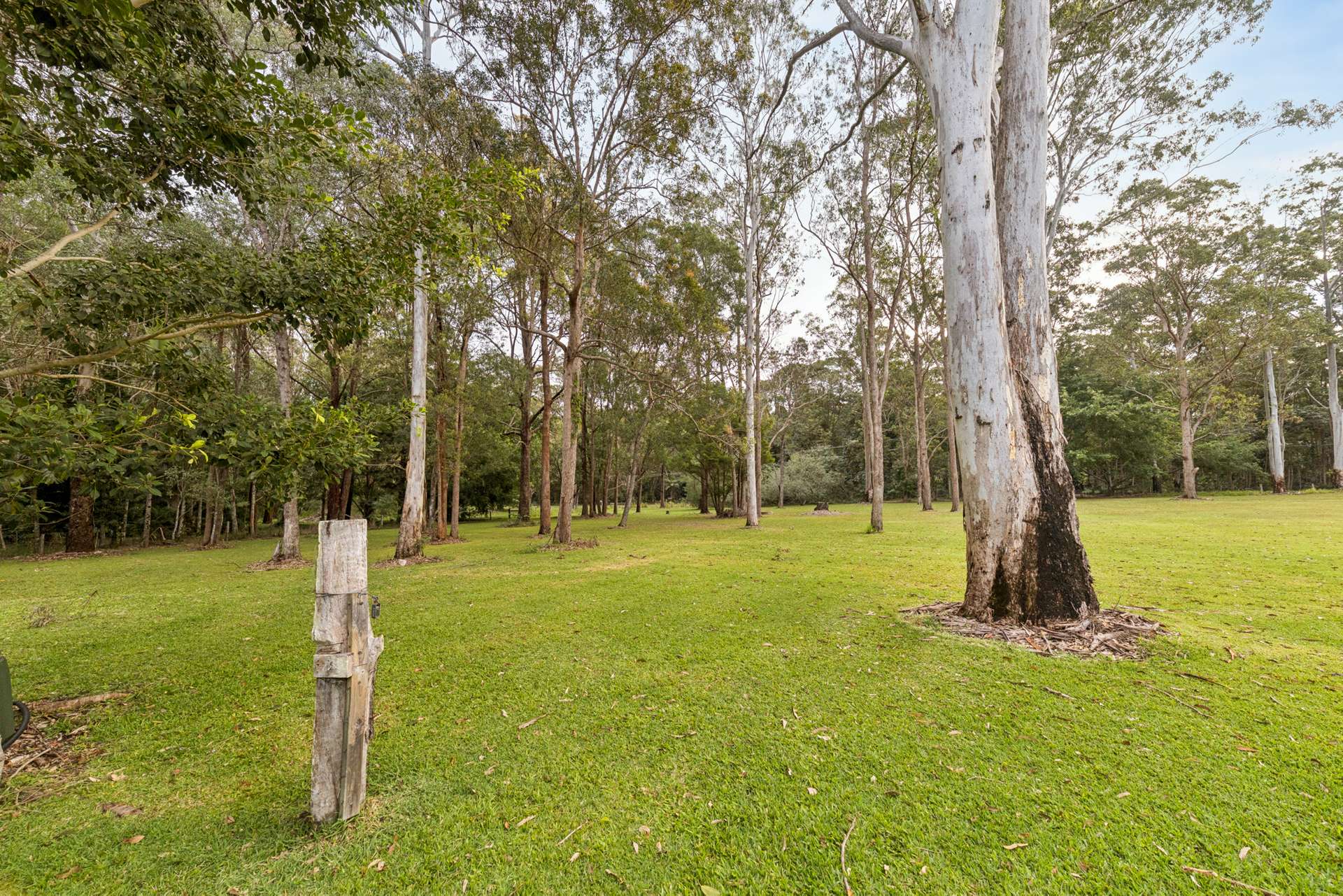 98 Kildeys Road, Cootharaba For Sale by Farmbuy.com - image 24