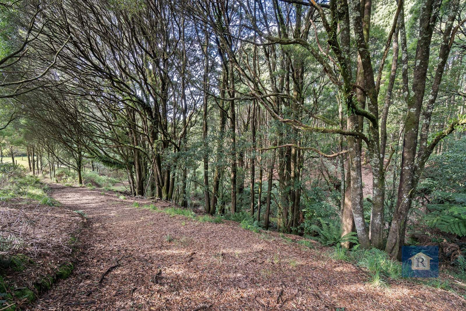 110 Old Colac Road, Beech Forest For Sale by Farmbuy.com - image 29