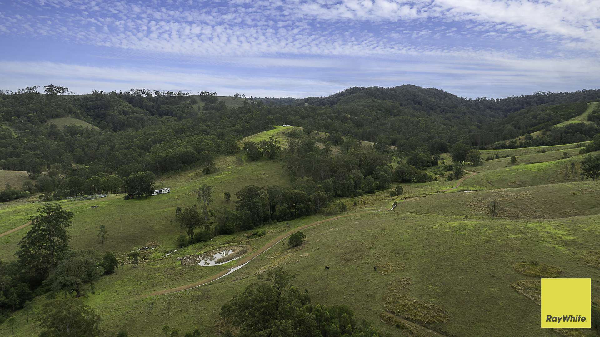260 Dog Trap Creek Road, Bingleburra For Sale by Farmbuy.com - image 10