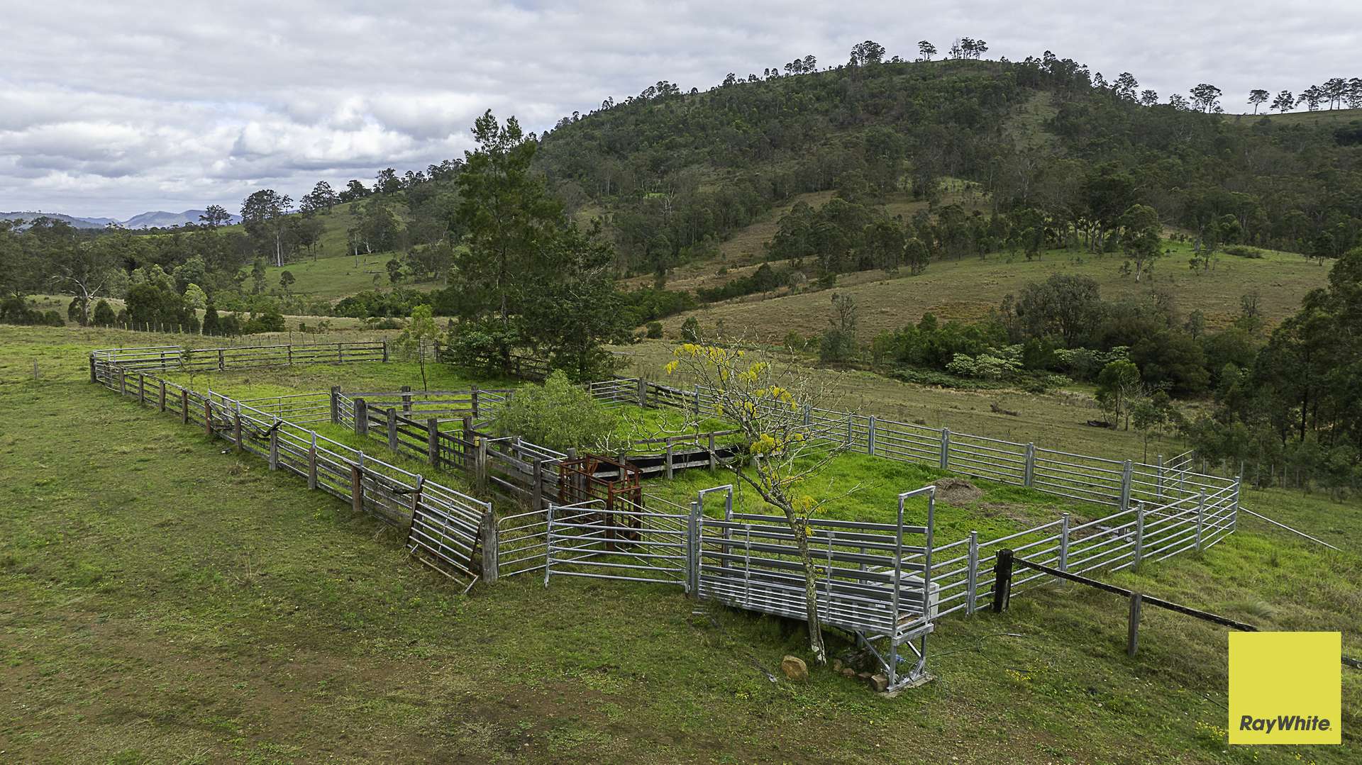 260 Dog Trap Creek Road, Bingleburra For Sale by Farmbuy.com - image 6