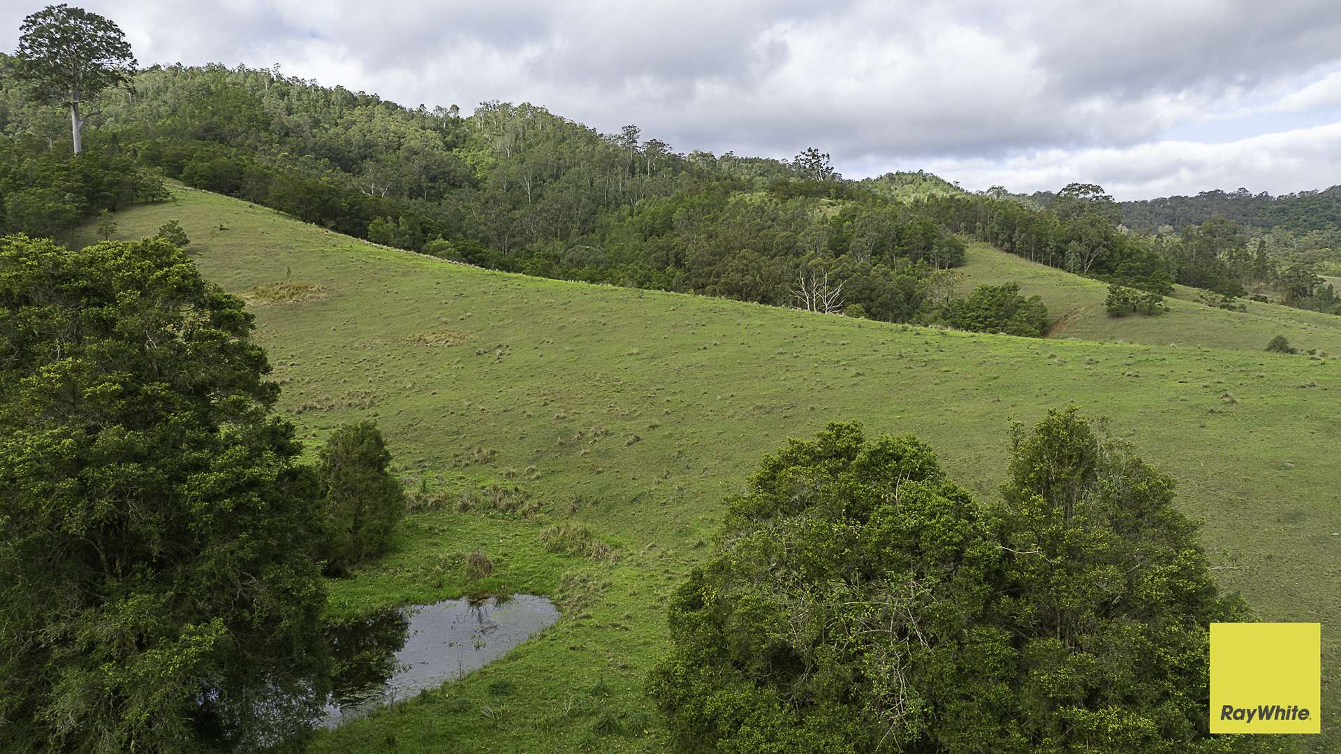 260 Dog Trap Creek Road, Bingleburra For Sale by Farmbuy.com - image 18
