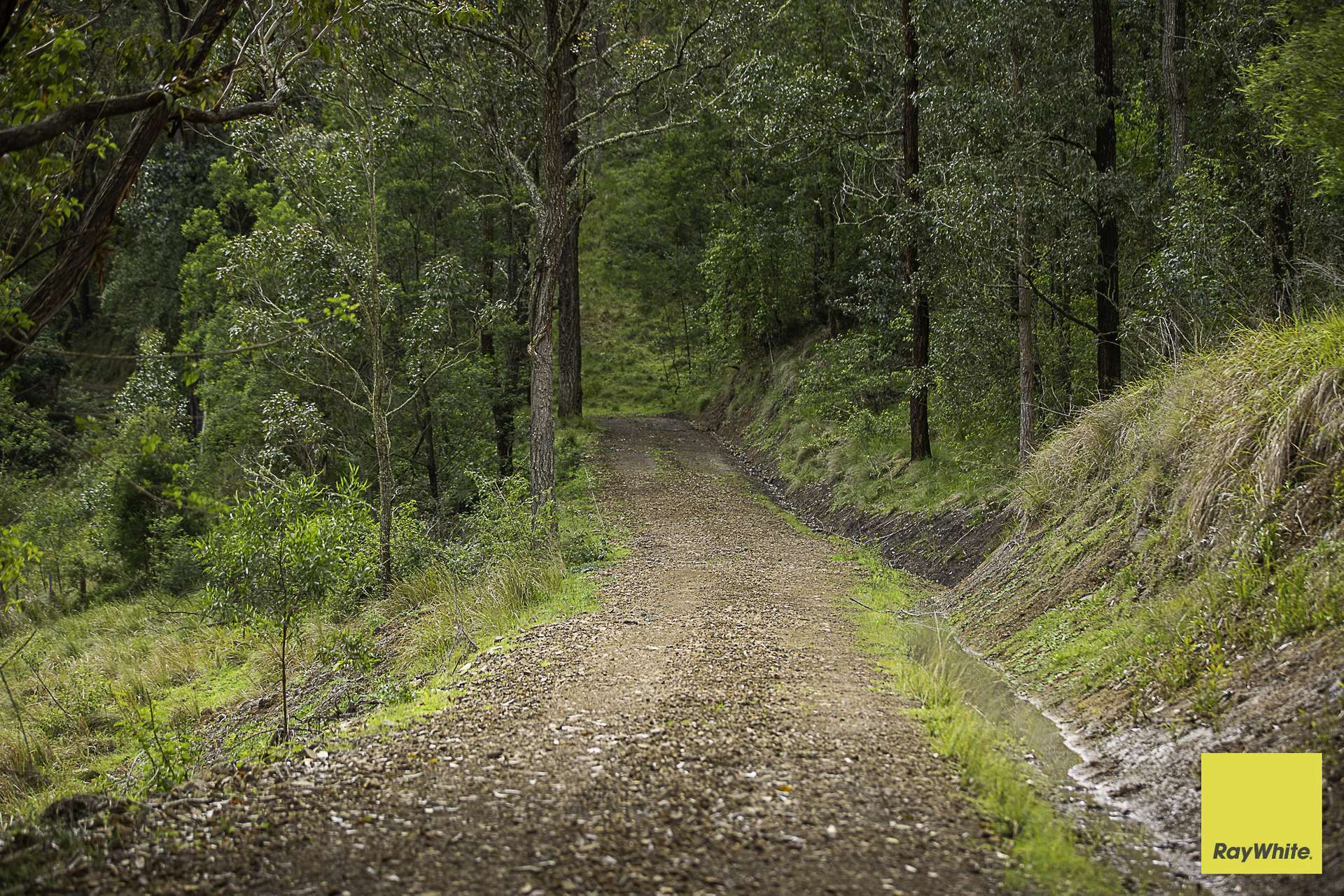 260 Dog Trap Creek Road, Bingleburra For Sale by Farmbuy.com - image 14
