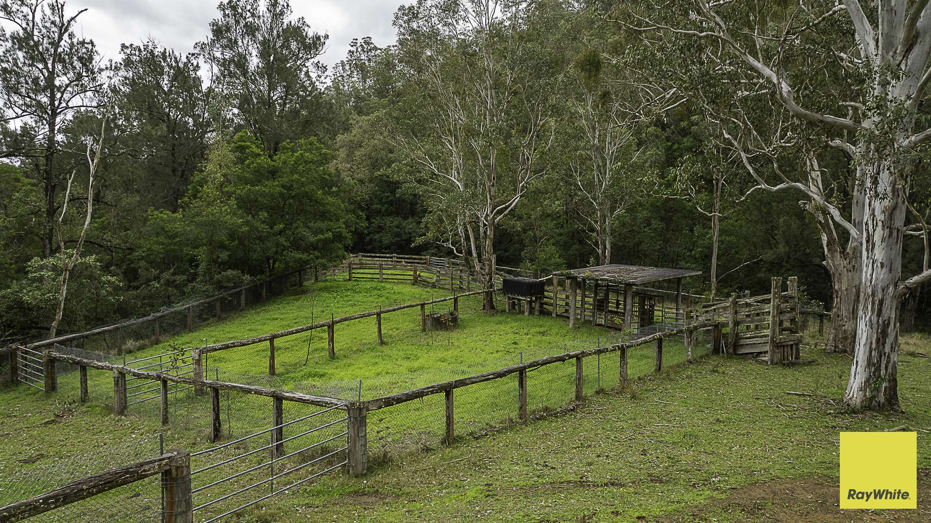 260 Dog Trap Creek Road, Bingleburra For Sale by Farmbuy.com - image 13