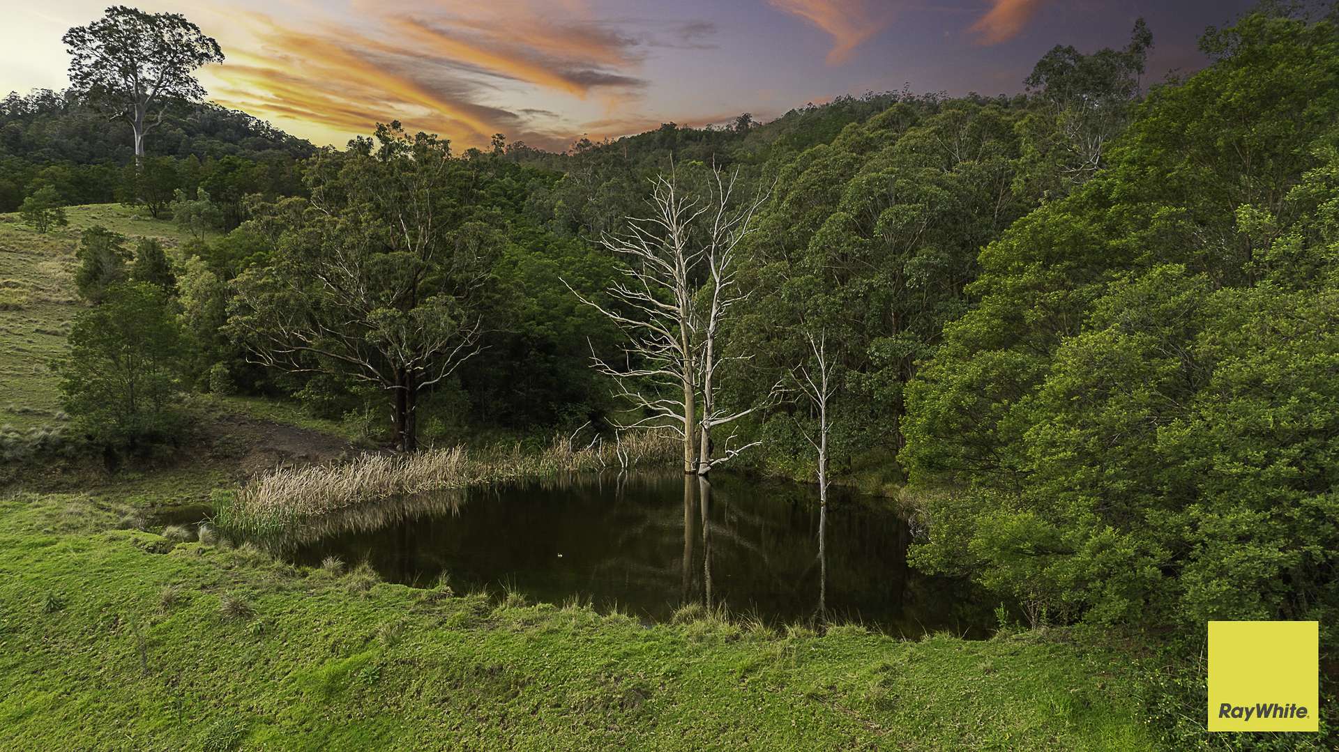 260 Dog Trap Creek Road, Bingleburra For Sale by Farmbuy.com - image 4