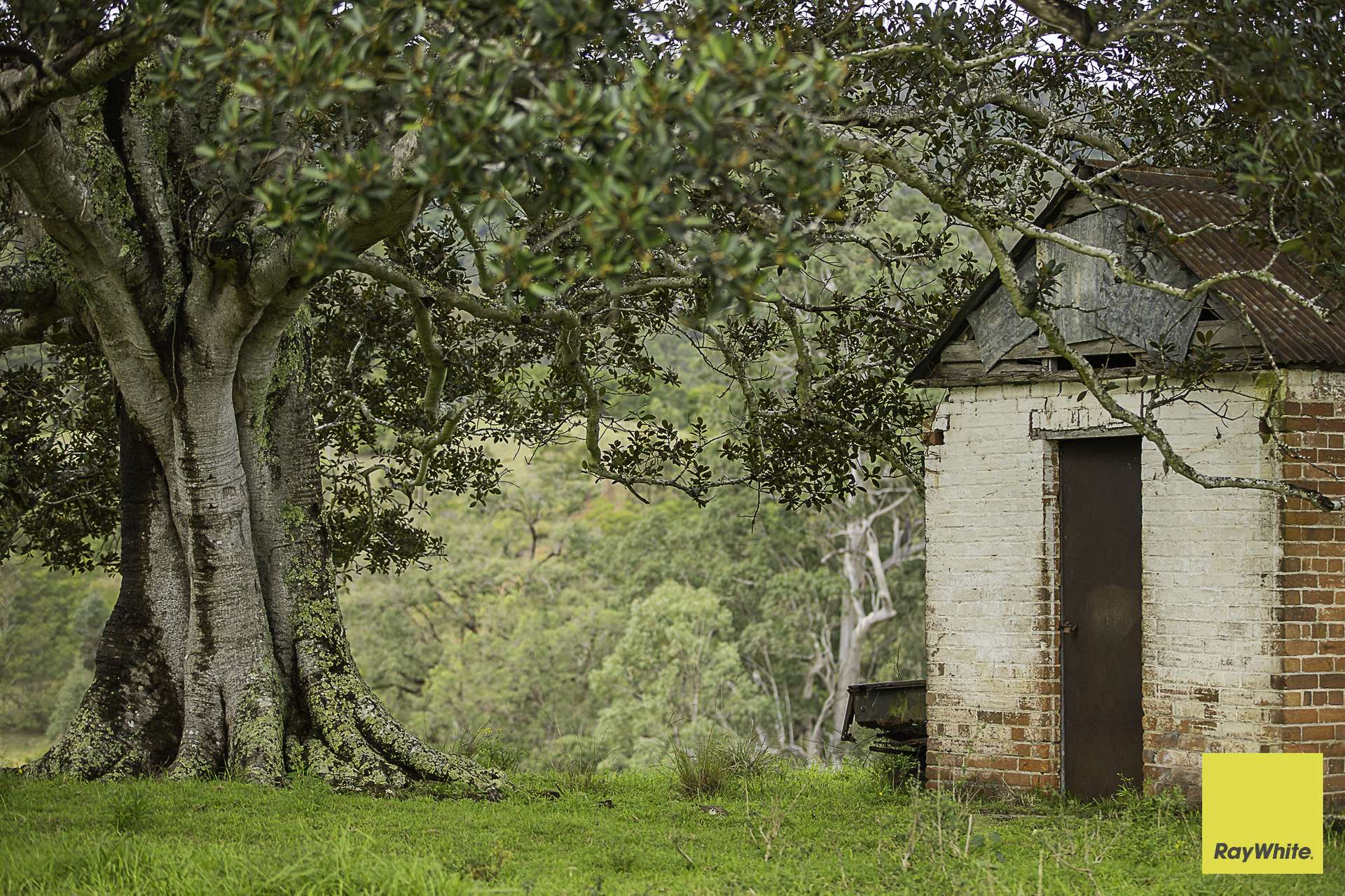 260 Dog Trap Creek Road, Bingleburra For Sale by Farmbuy.com - image 2