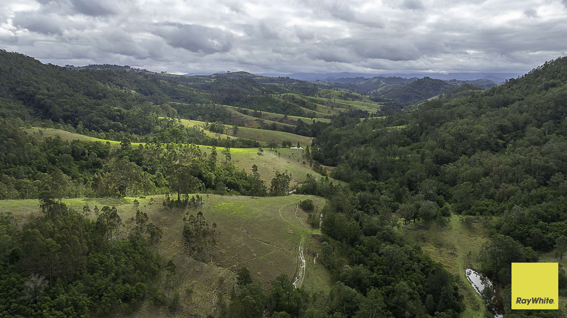 260 Dog Trap Creek Road, Bingleburra For Sale by Farmbuy.com - image 16