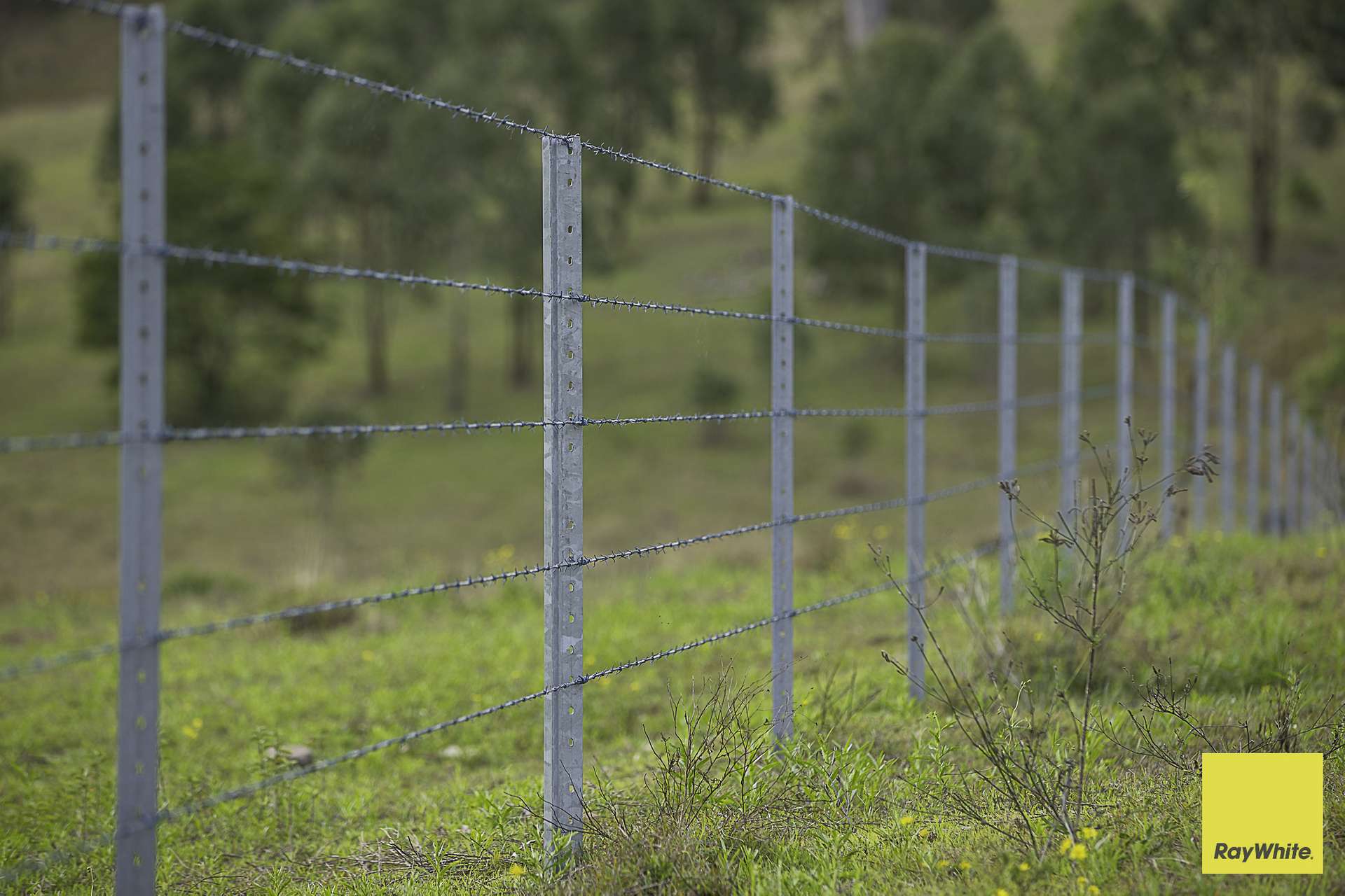 260 Dog Trap Creek Road, Bingleburra For Sale by Farmbuy.com - image 8