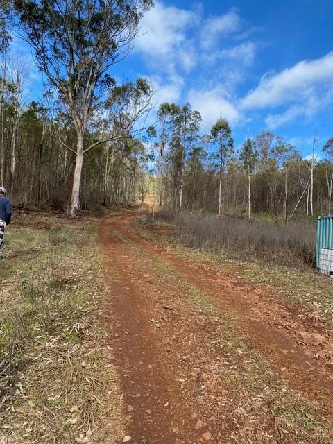 Lot 20 Top Swanfels Road, Swanfels For Sale by Farmbuy.com - image 5