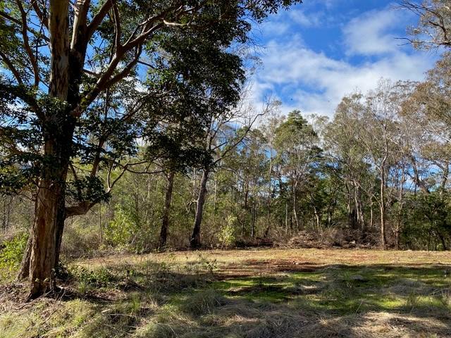 Lot 20 Top Swanfels Road, Swanfels For Sale by Farmbuy.com - image 6