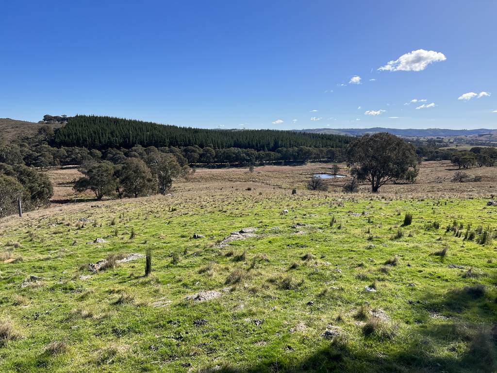 Lot 65&sol;1911 Rugby Road, Bevendale NSW 2581
