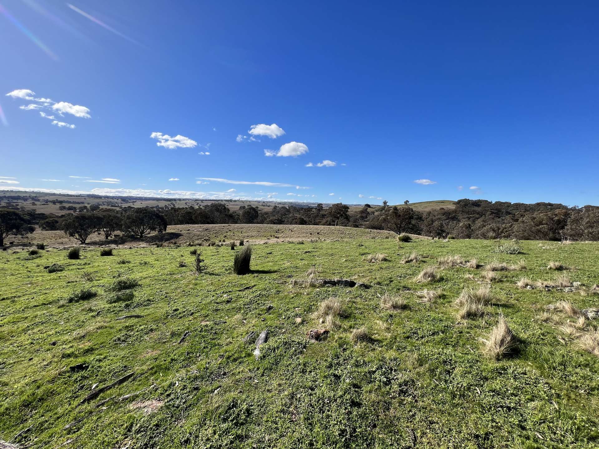 Lot 65/1911 Rugby Road, Bevendale For Sale by Farmbuy.com - image 2