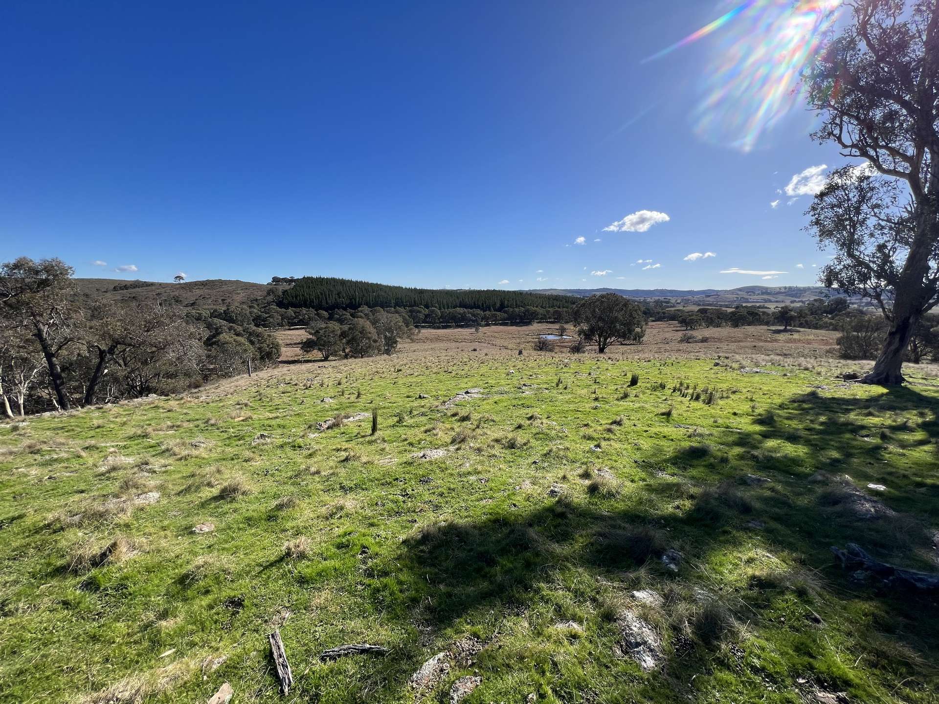 Lot 65/1911 Rugby Road, Bevendale For Sale by Farmbuy.com - image 4
