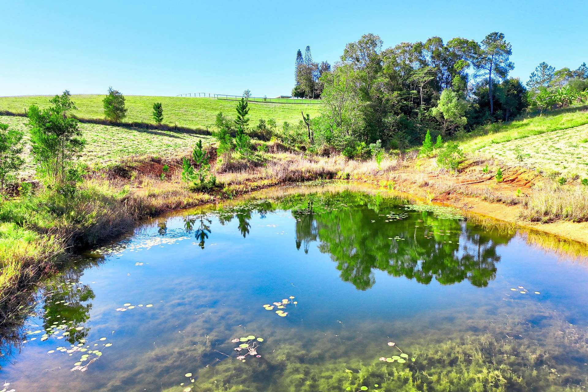 310 Memorial Drive, Eerwah Vale For Sale by Farmbuy.com - image 6