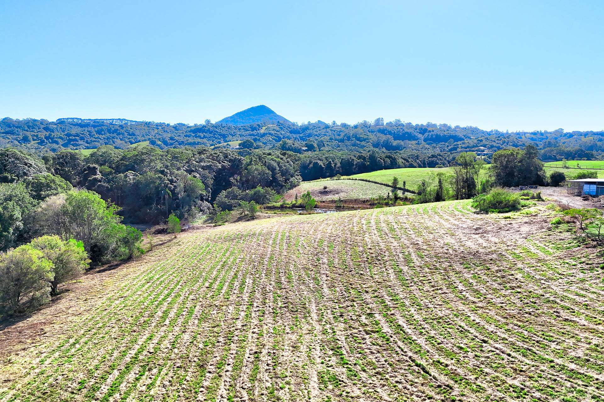 310 Memorial Drive, Eerwah Vale For Sale by Farmbuy.com - image 22