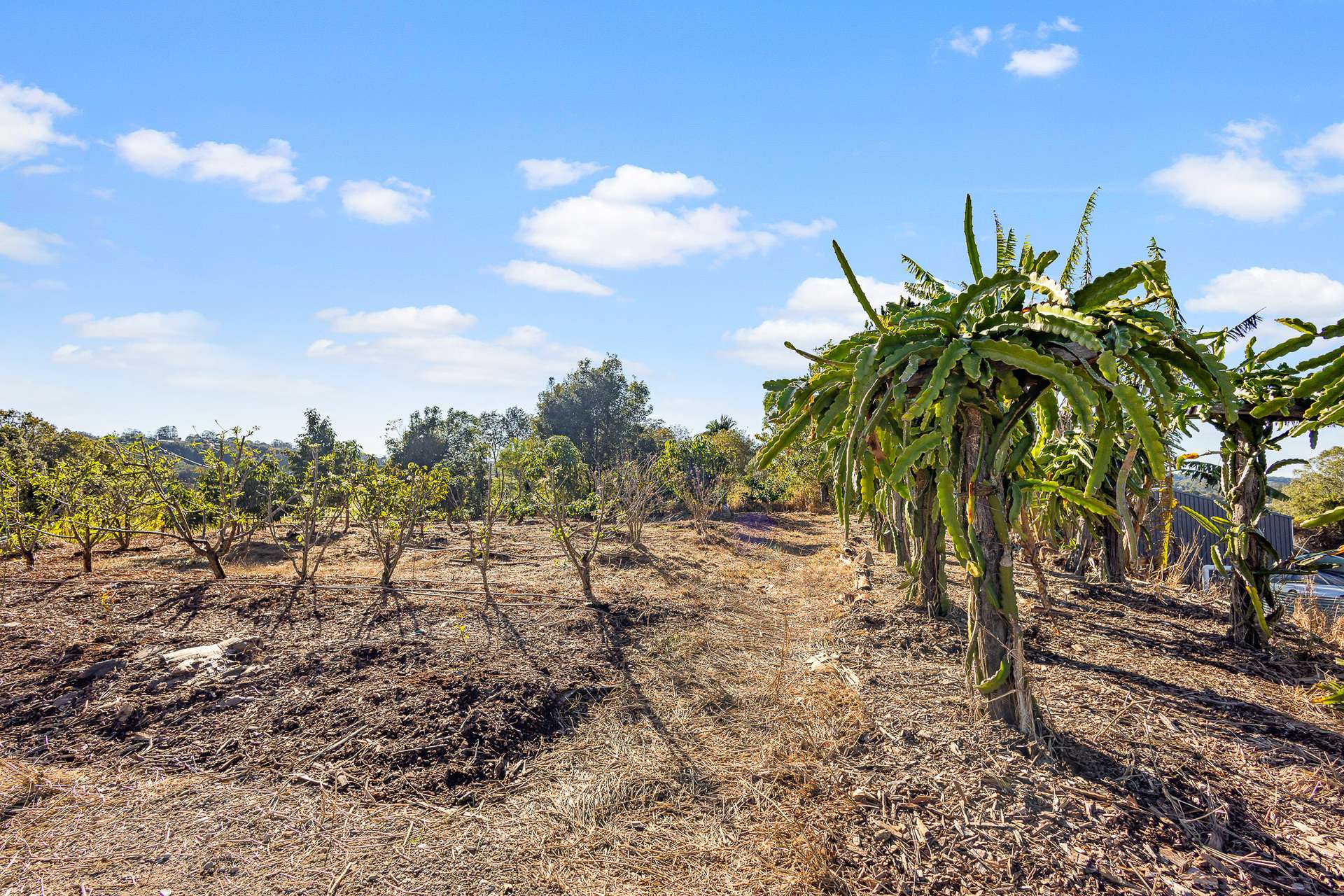 310 Memorial Drive, Eerwah Vale For Sale by Farmbuy.com - image 24