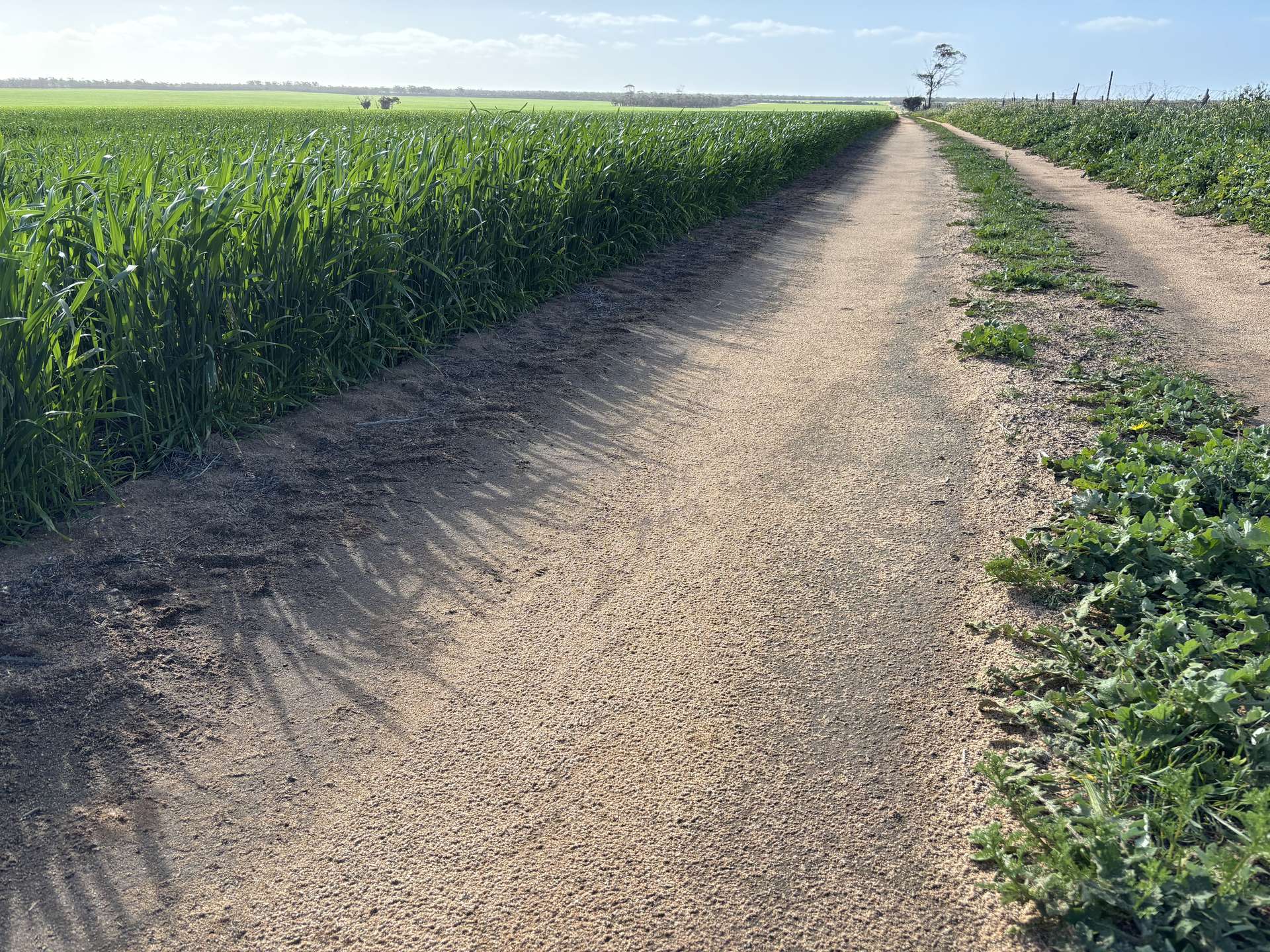 . 'Wesburra' Lease, Nukarni For Sale by Farmbuy.com - image 8