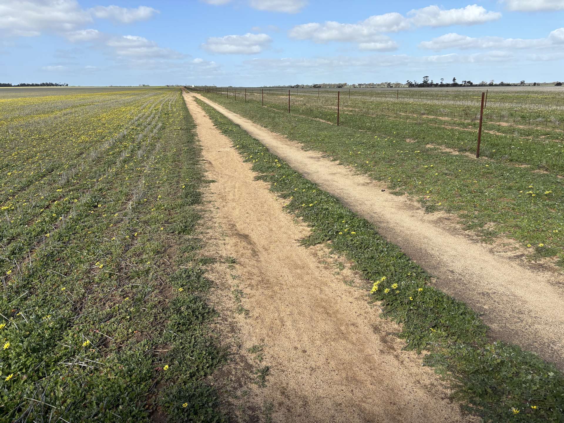 . 'Wesburra' Lease, Nukarni For Sale by Farmbuy.com - image 10