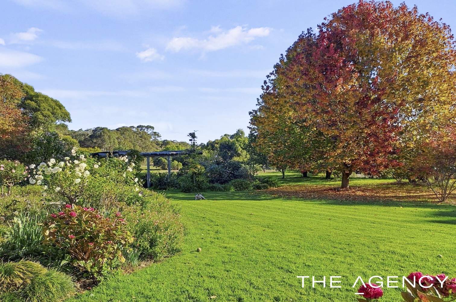 124 Sheoak Drive, Hay For Sale by Farmbuy.com - image 23