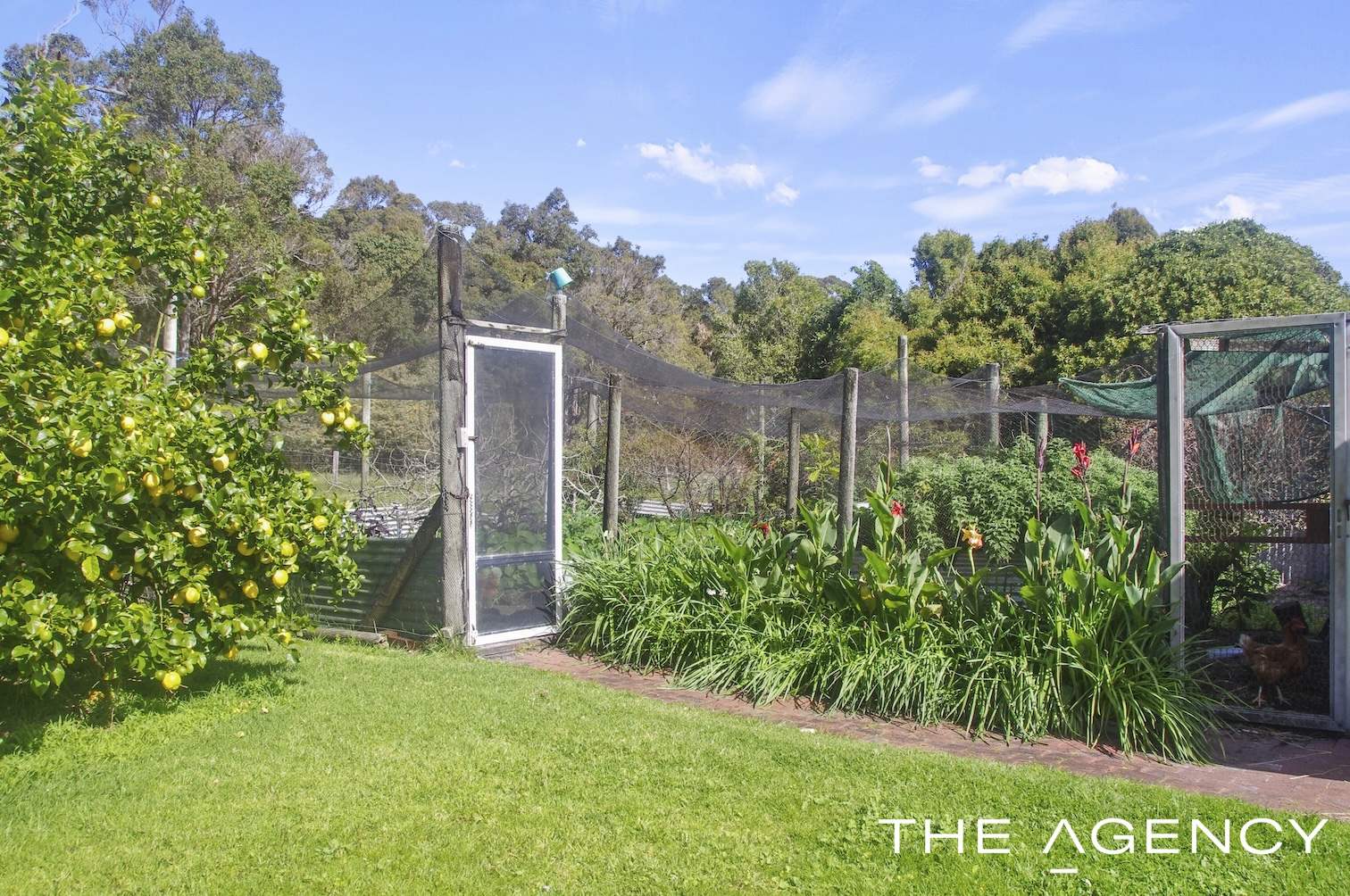 124 Sheoak Drive, Hay For Sale by Farmbuy.com - image 27