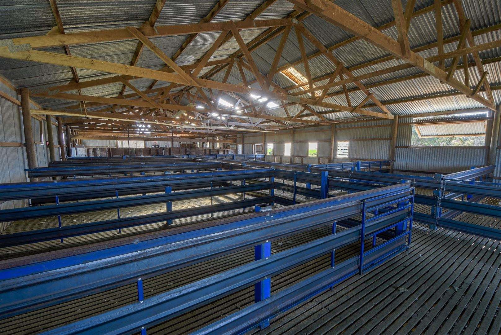 Wallowa Downs/298 Arthurs Road, Telopea Downs For Sale by Farmbuy.com - image 19
